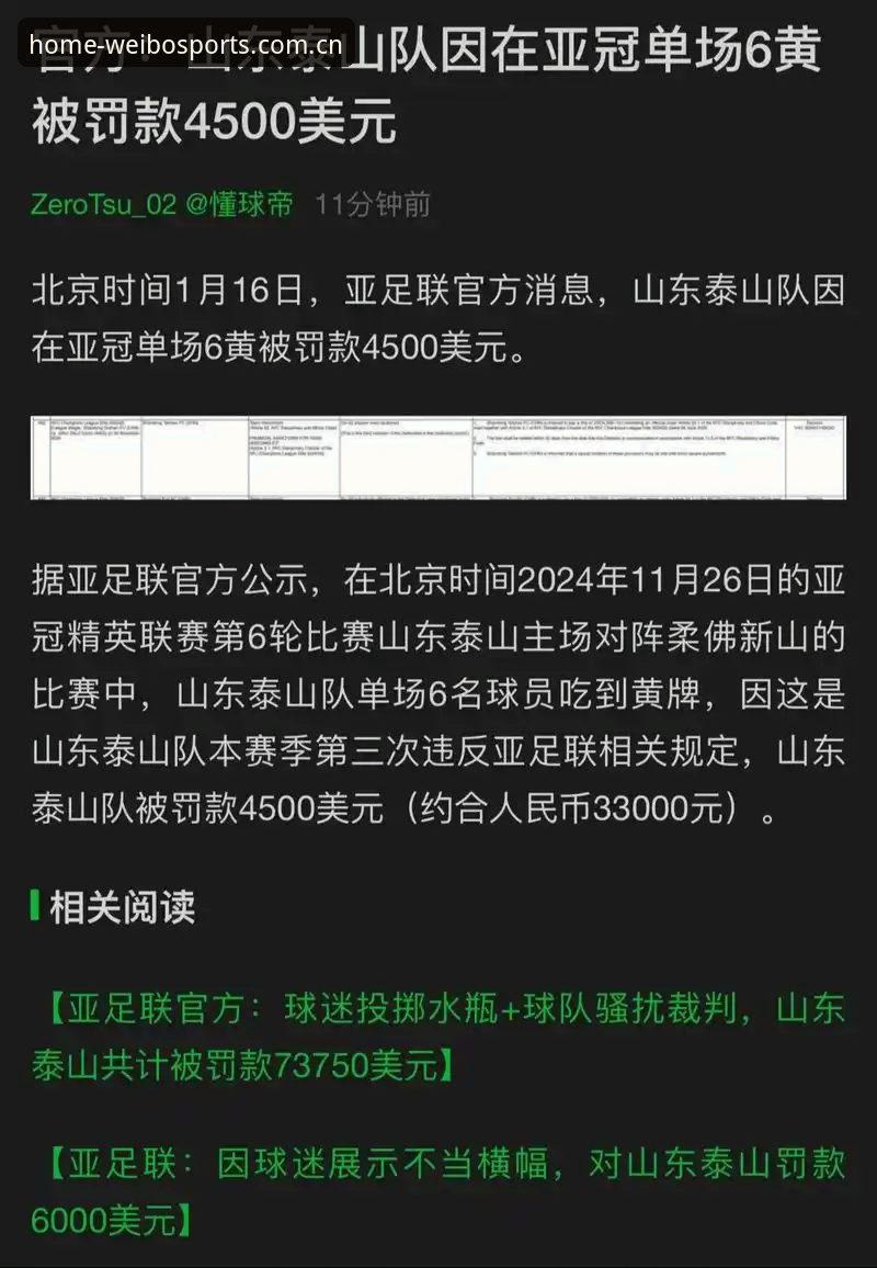 伟博体育官网入口必备 揭秘足协第三批禁足名单背后的乱象,深挖足球腐败链的隐秘角落